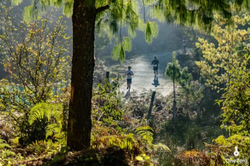 Ziro Honour Run 2025